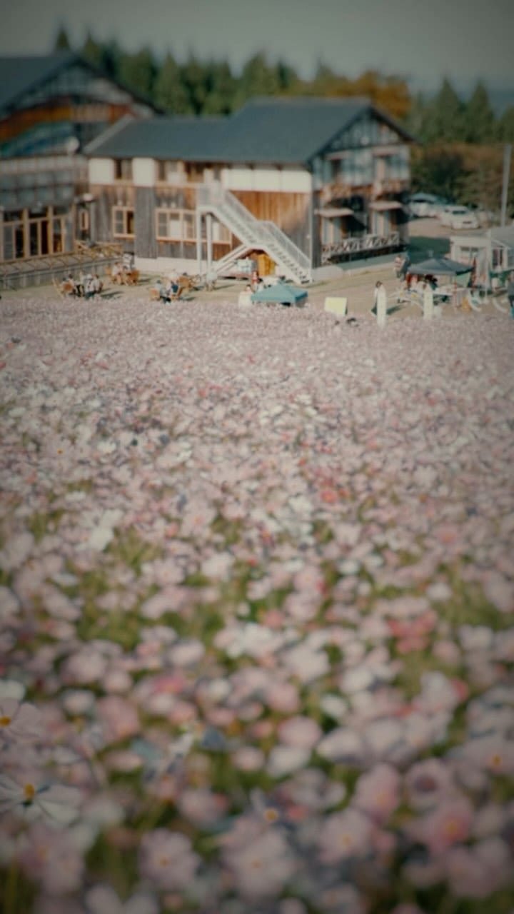 Post 10 by Diorama Toyama/じおらま富山。 on Instagram (video)
