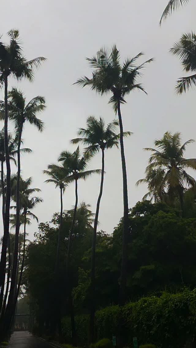 Post 1 by Yeva Konkan Aaploch Aasa on Instagram (video)
