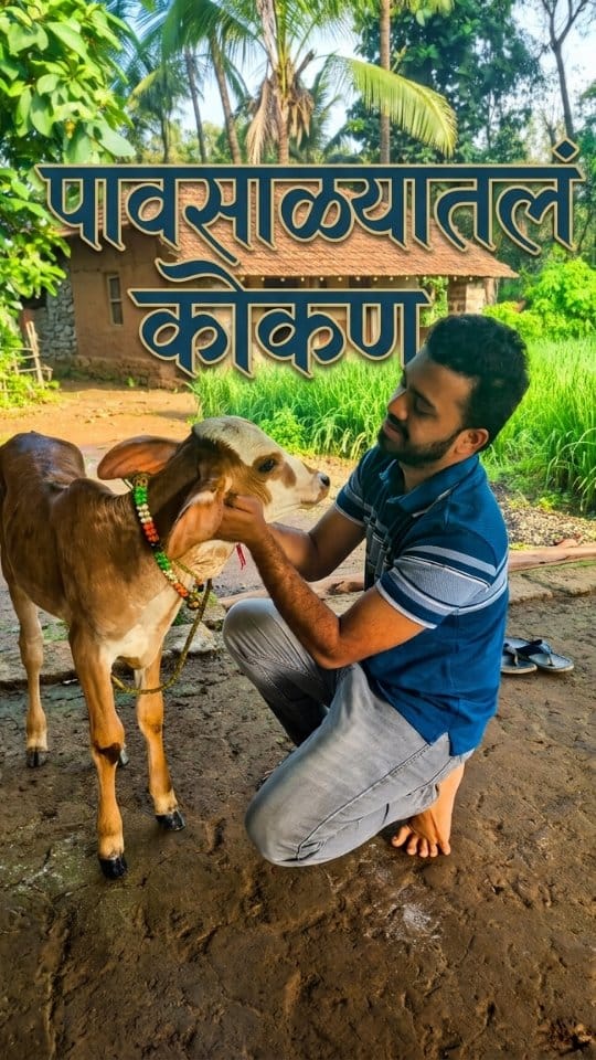 Post 5 by Yeva Konkan Aaploch Aasa on Instagram (video)