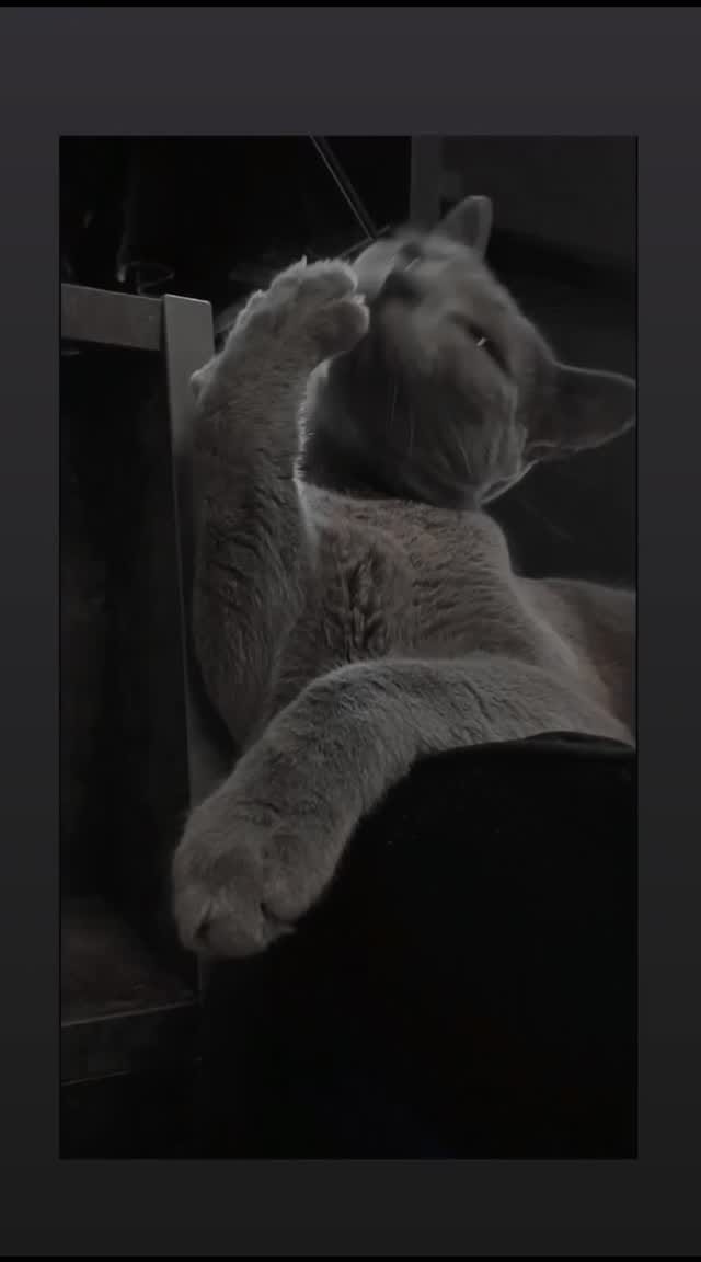 Post 5 by TAKUMI™ on Instagram (video)