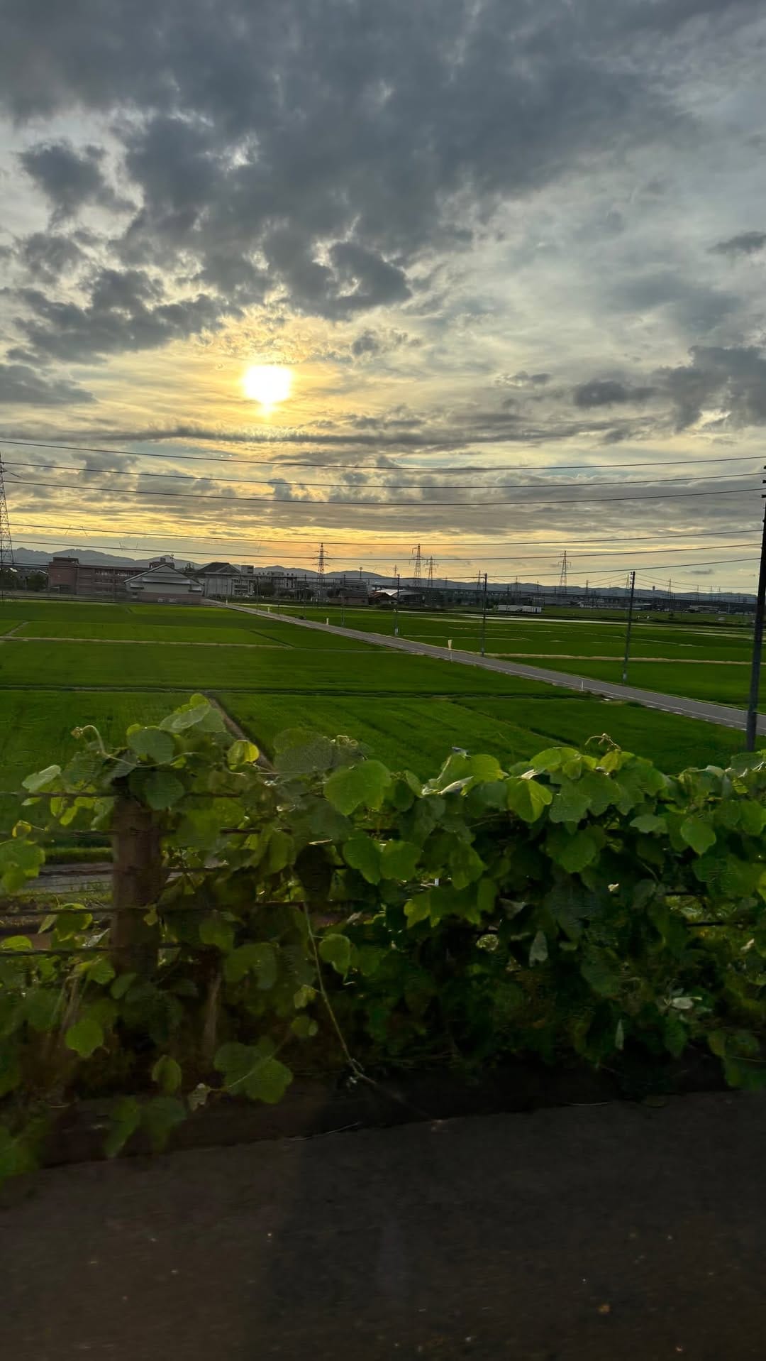 Post 5 by Kaoru Kurosawa on Instagram (video)