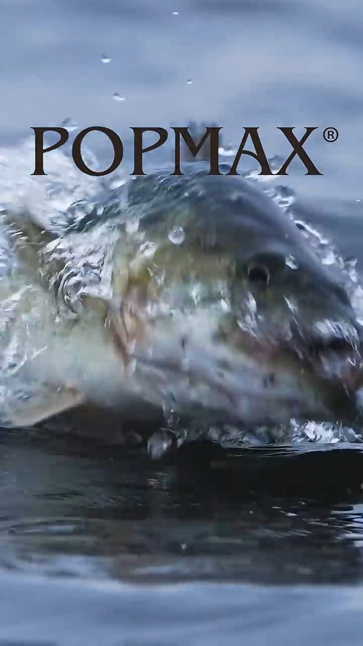 Post 8 by Megabass Inc. on Instagram (video)