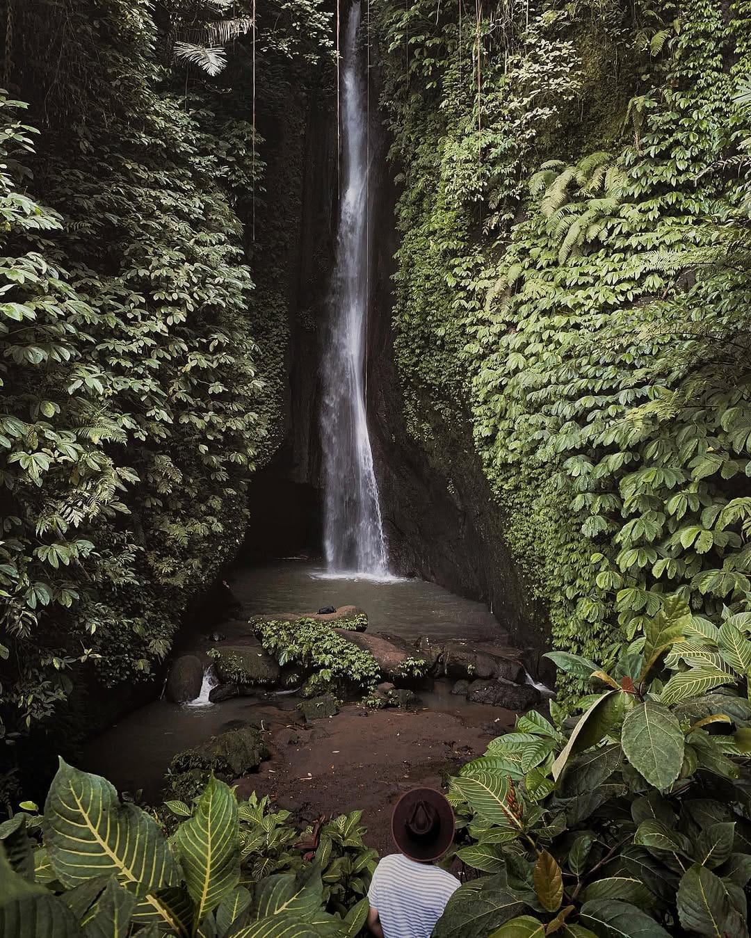 Post 8 by Eric Férdinand on Instagram (image)