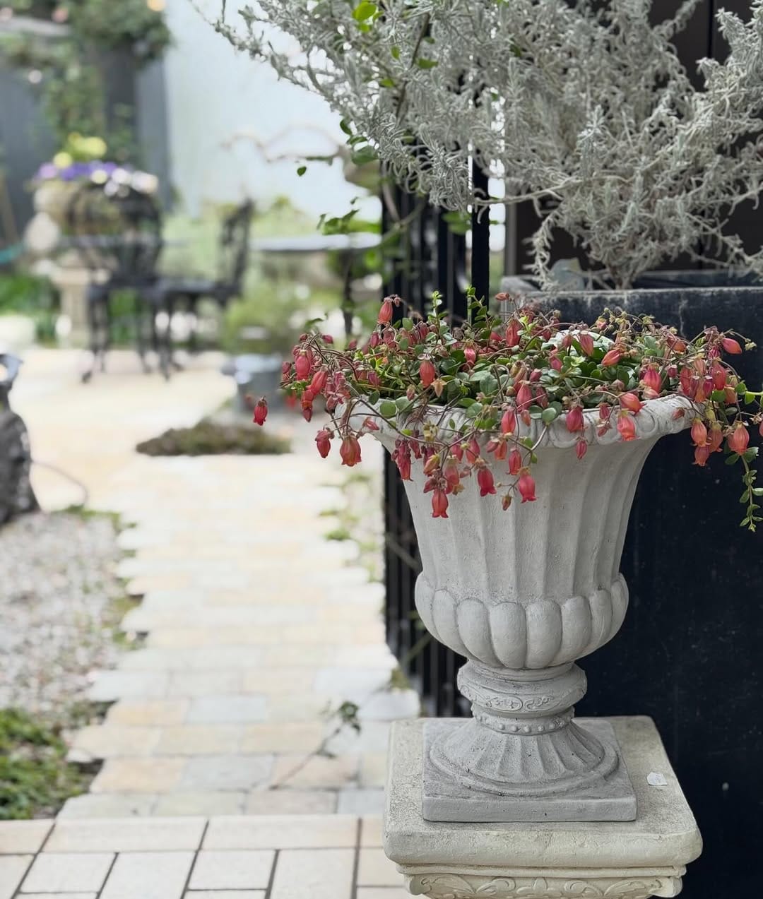 Post 7 by 橋本種苗園 on Instagram (image)