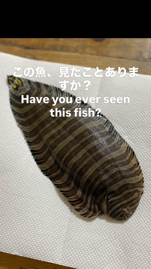Post 1 by 薄造り｜mitsuhiro enomoto on Instagram (video)