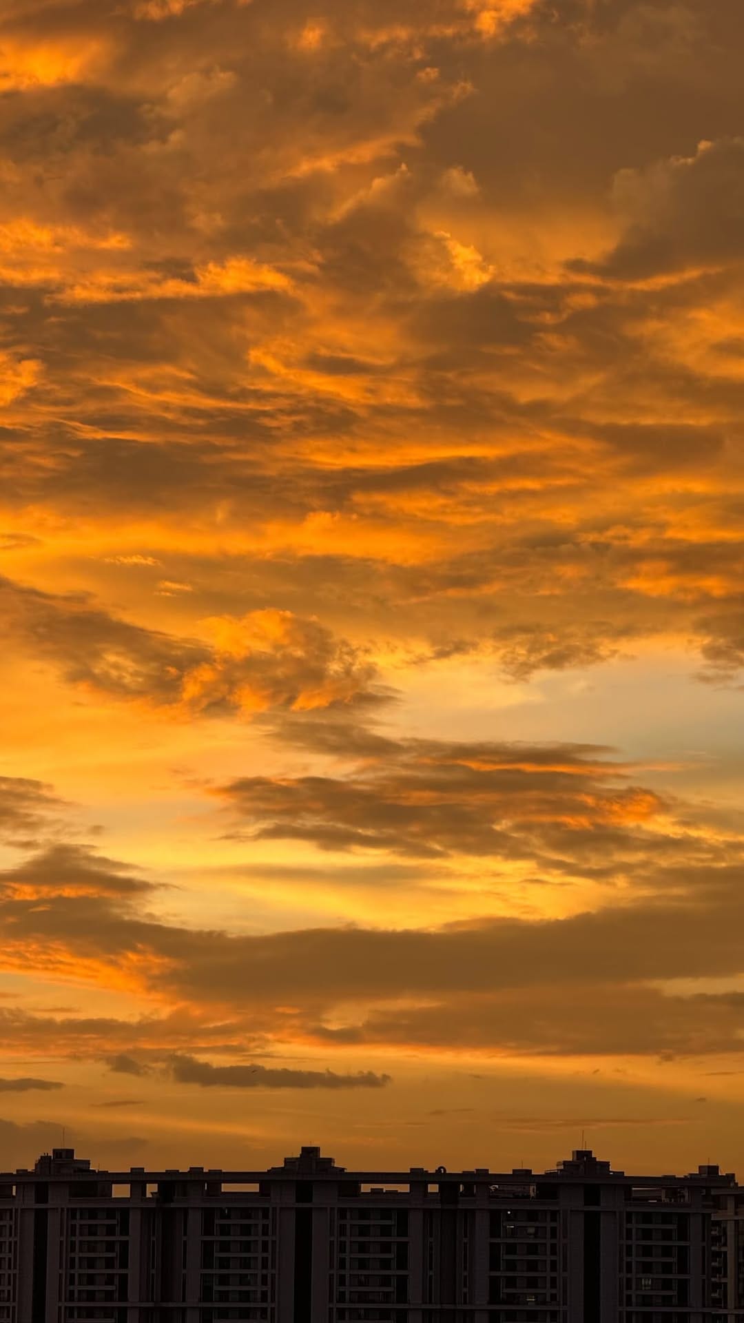 Post 1 by Aashika Jain on Instagram (video)
