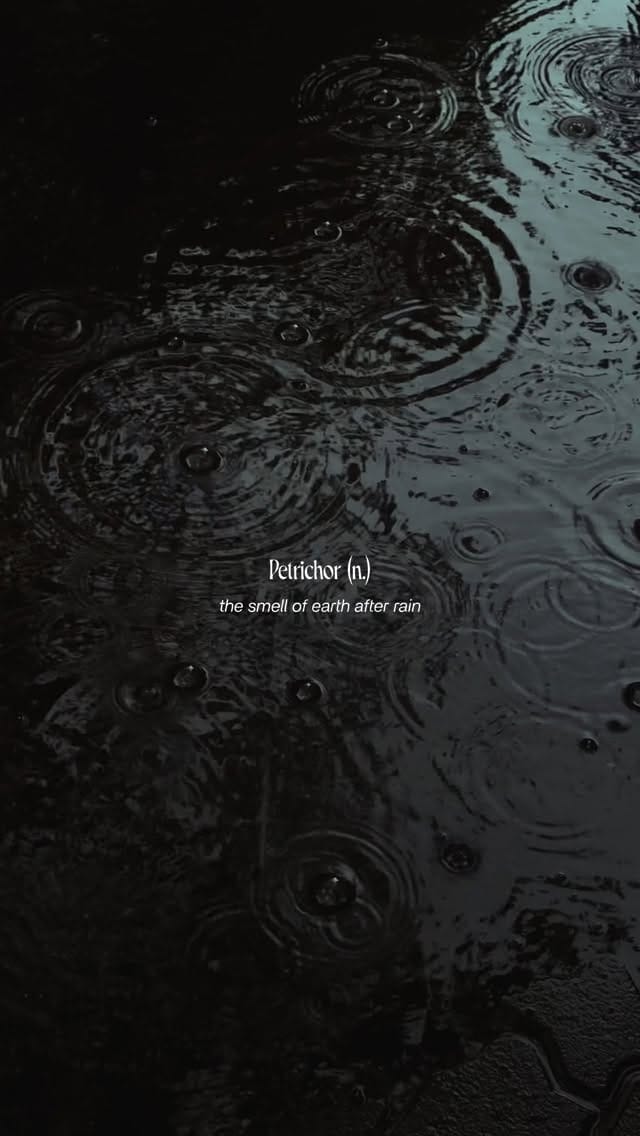 Post 8 by Aashika Jain on Instagram (video)