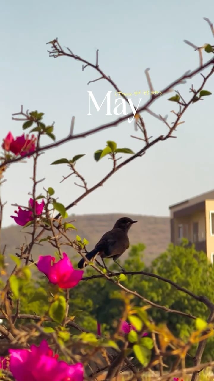 Post 3 by Aashika Jain on Instagram (video)