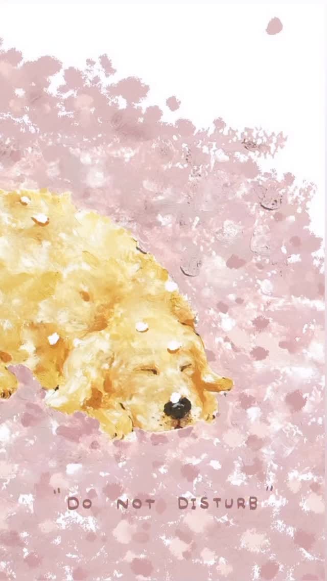 Post 9 by さくらのそうし on Instagram (video)