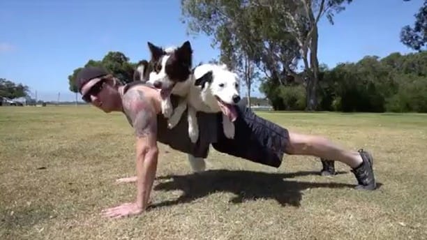 Post 10 by Orange Gym Rats OGR on Instagram (video)