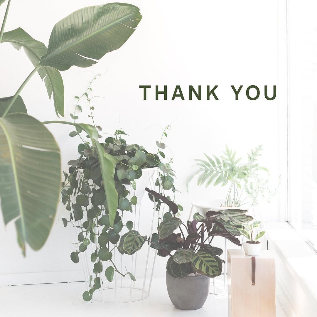 Post 3 by THE AVIARY DESIGN COLLECTIVE on Instagram (image)
