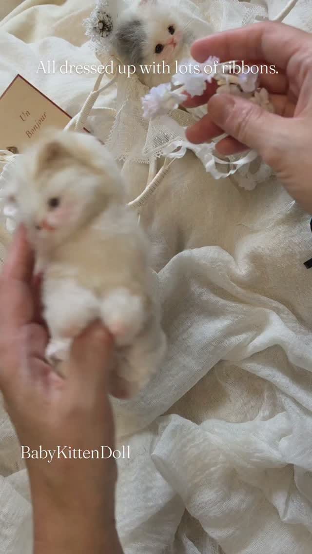 Post 7 by miumoe（みうもえ） on Instagram (video)