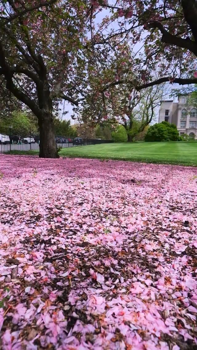 Post 8 by 𝕐𝕦𝕜𝕒 on Instagram (video)