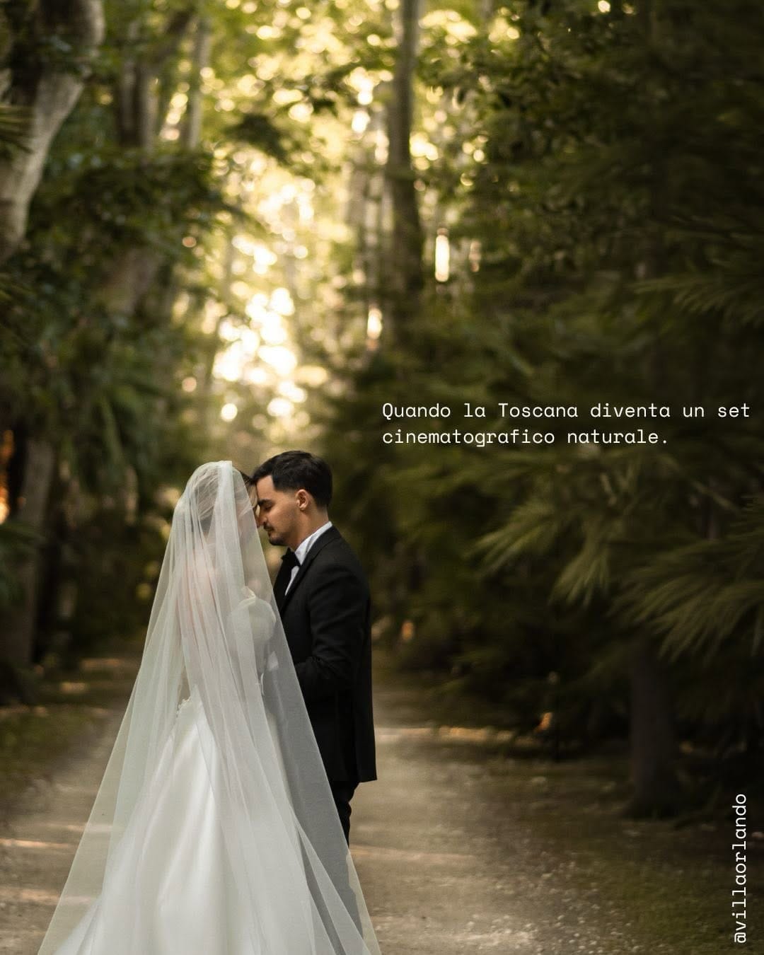 Post 6 by Momaxphoto on Instagram (carousel)