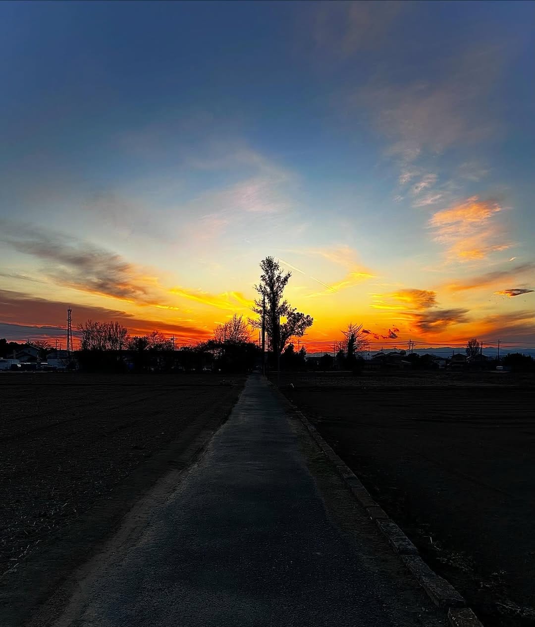 Post 5 by 篁千礼　Takamura Chihiro on Instagram (image)