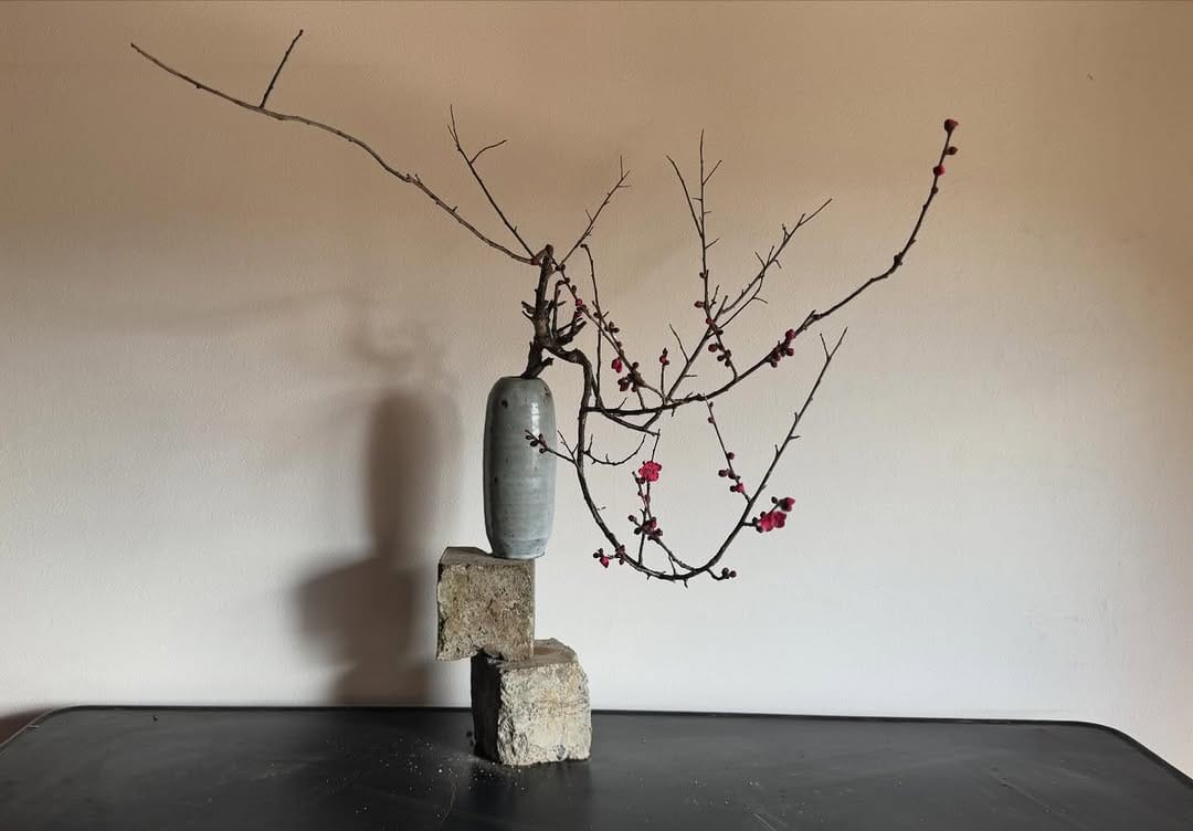 Post 3 by 鈴木 明子 on Instagram (image)