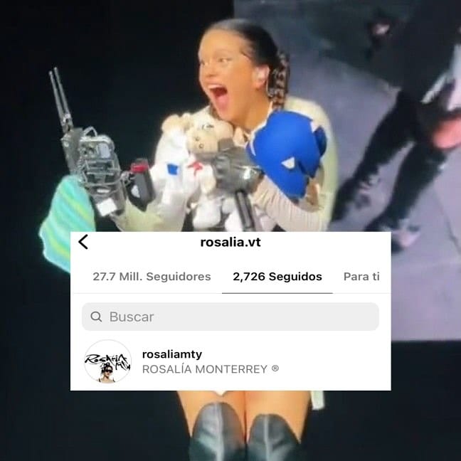 Post 10 by ROSALÍA MONTERREY ® on Instagram (image)