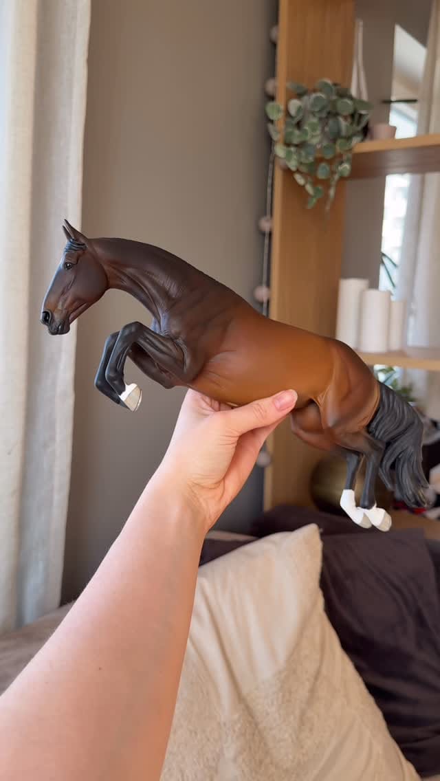 Post 2 by SHR Modelhorses on Instagram (video)