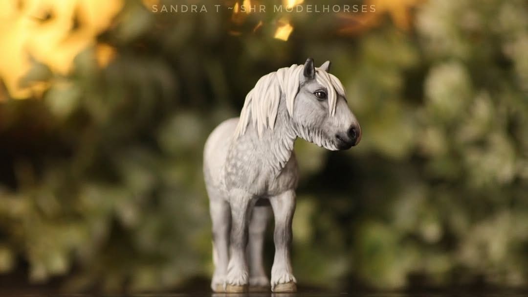 Post 6 by SHR Modelhorses on Instagram (carousel)