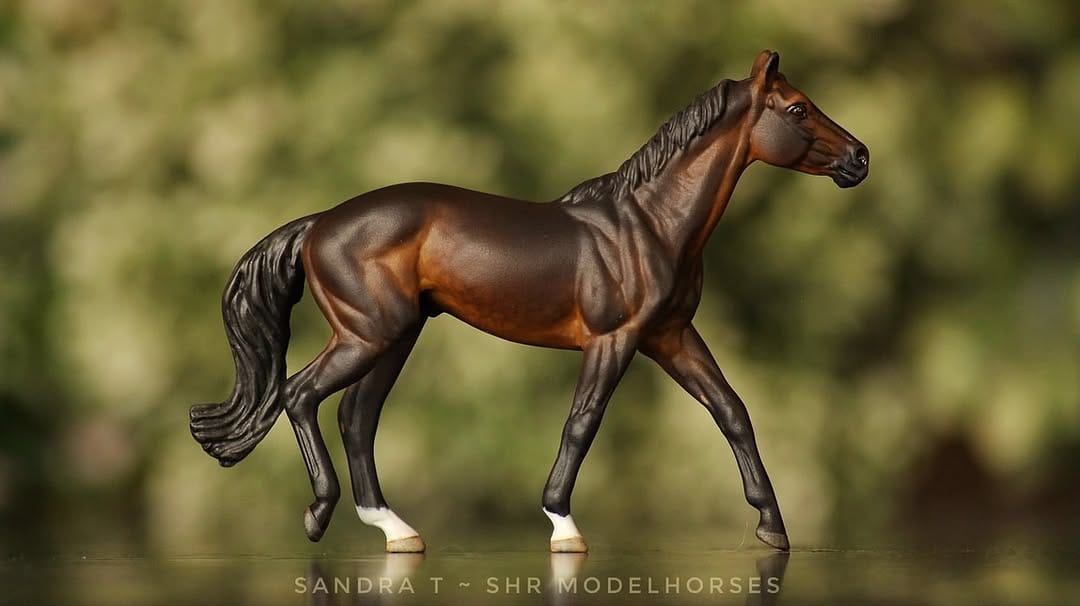 Post 7 by SHR Modelhorses on Instagram (carousel)