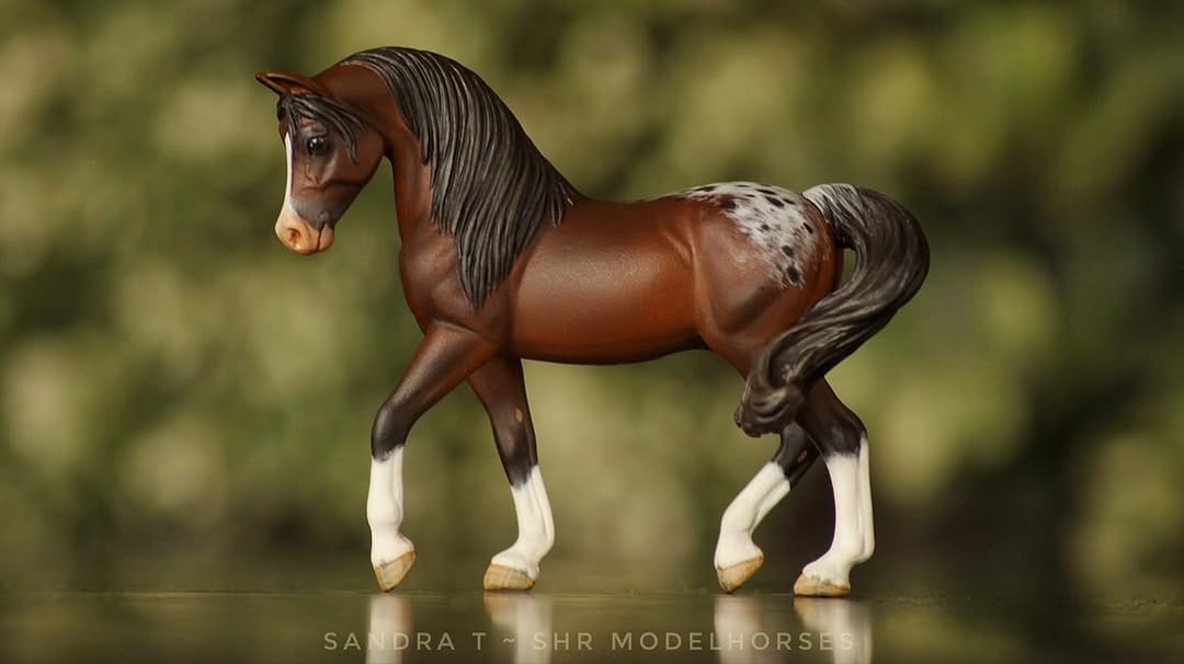 Post 8 by SHR Modelhorses on Instagram (carousel)