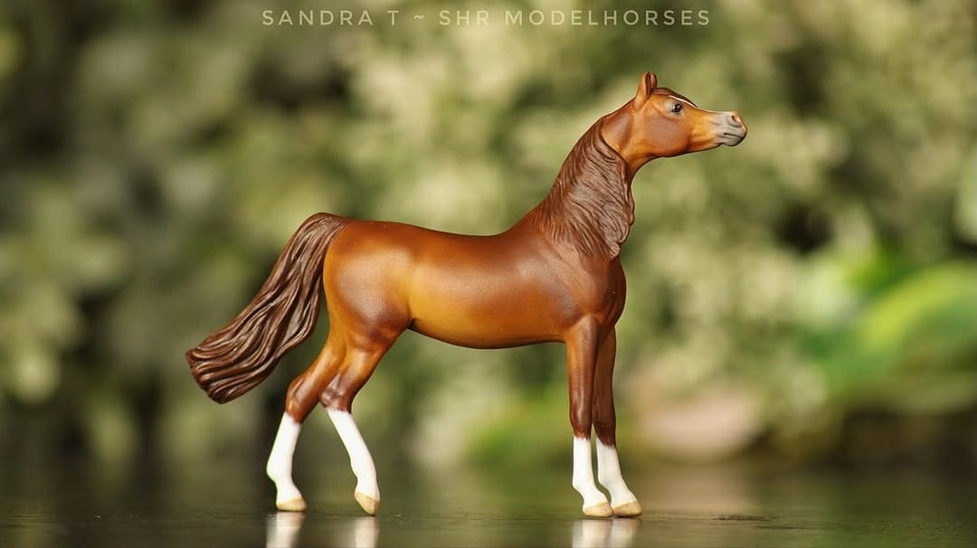 Post 9 by SHR Modelhorses on Instagram (carousel)