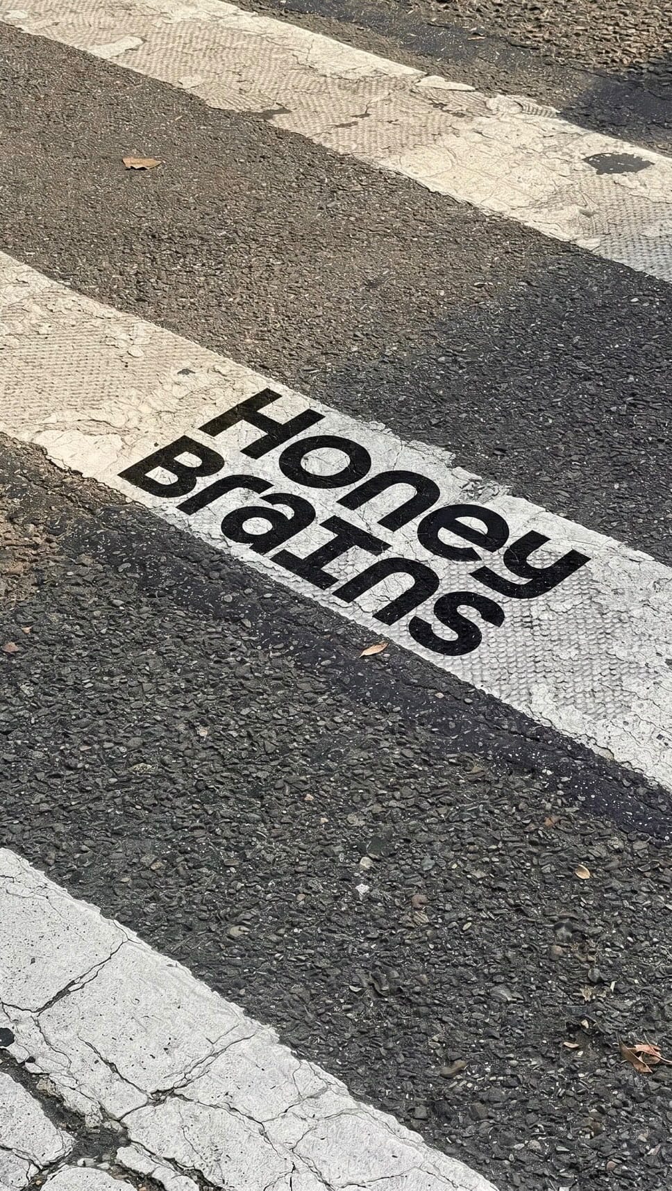 Post 7 by Honeybrains on Instagram (video)
