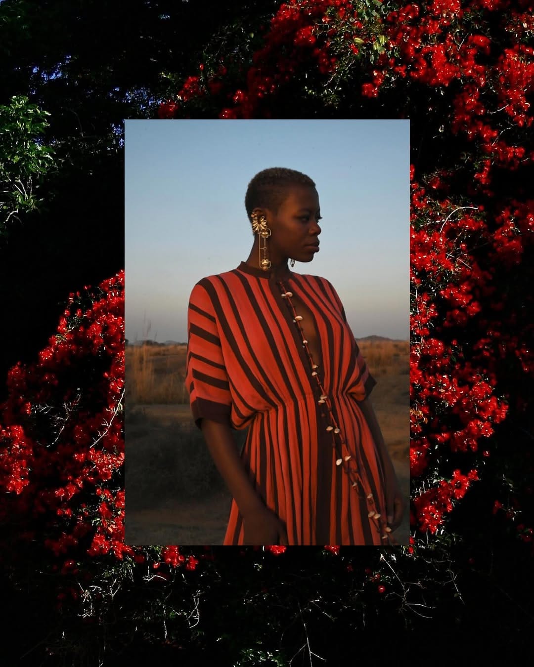 Post 6 by P l u m a r i i on Instagram (image)