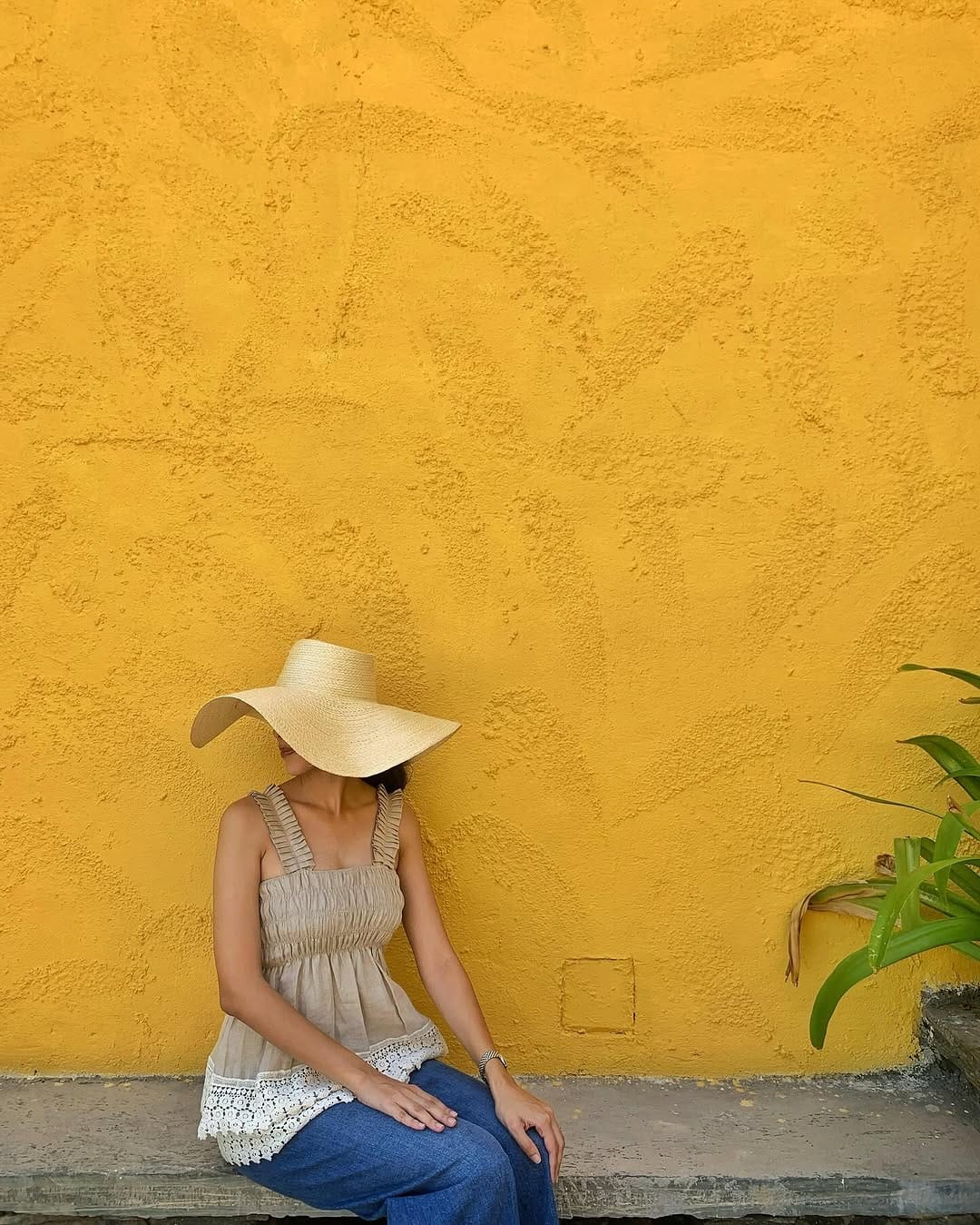 Post 2 by P l u m a r i i on Instagram (image)