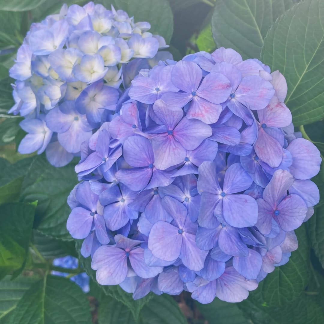 Post 5 by 満丸正人 on Instagram (image)