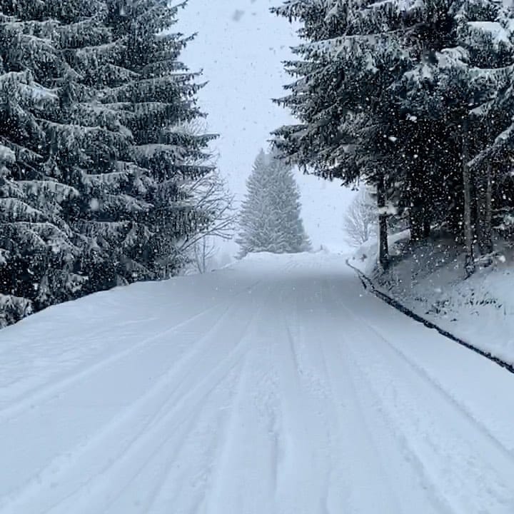 Post 5 by Tsuchinoko // Mike 🇫🇷🇯🇵 on Instagram (video)