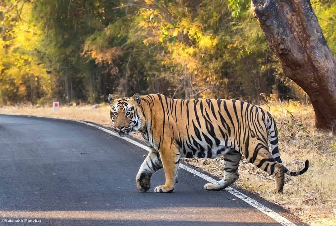 Post 9 by Vaishakh Manohar on Instagram (image)