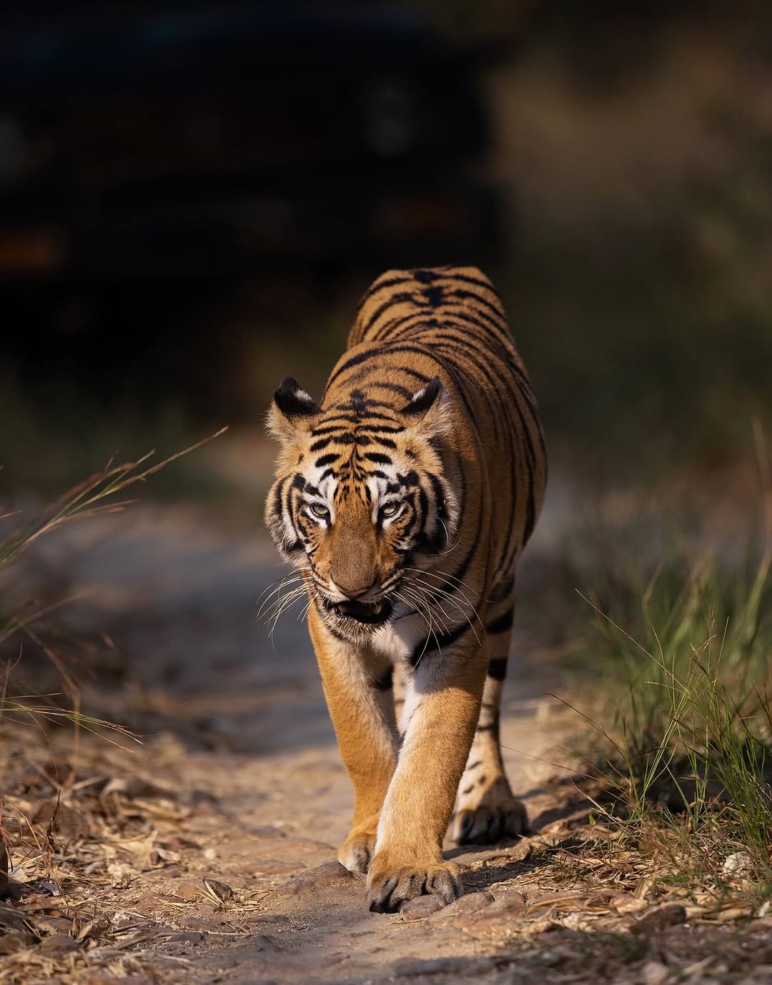 Post 4 by Vaishakh Manohar on Instagram (image)