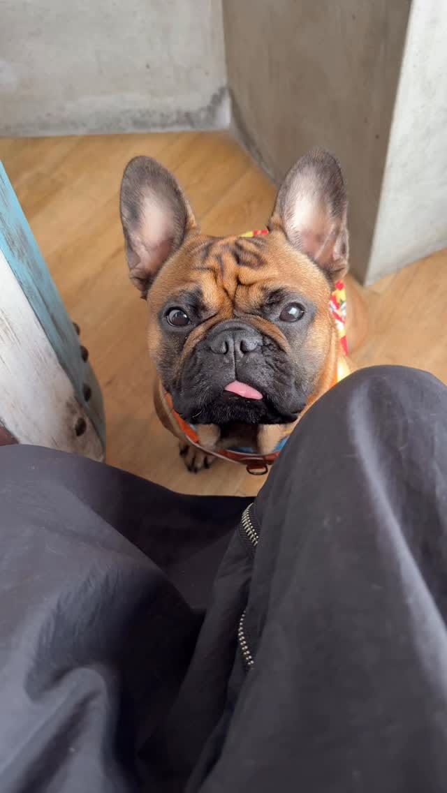 Post 8 by ❤︎maya❤︎ on Instagram (video)