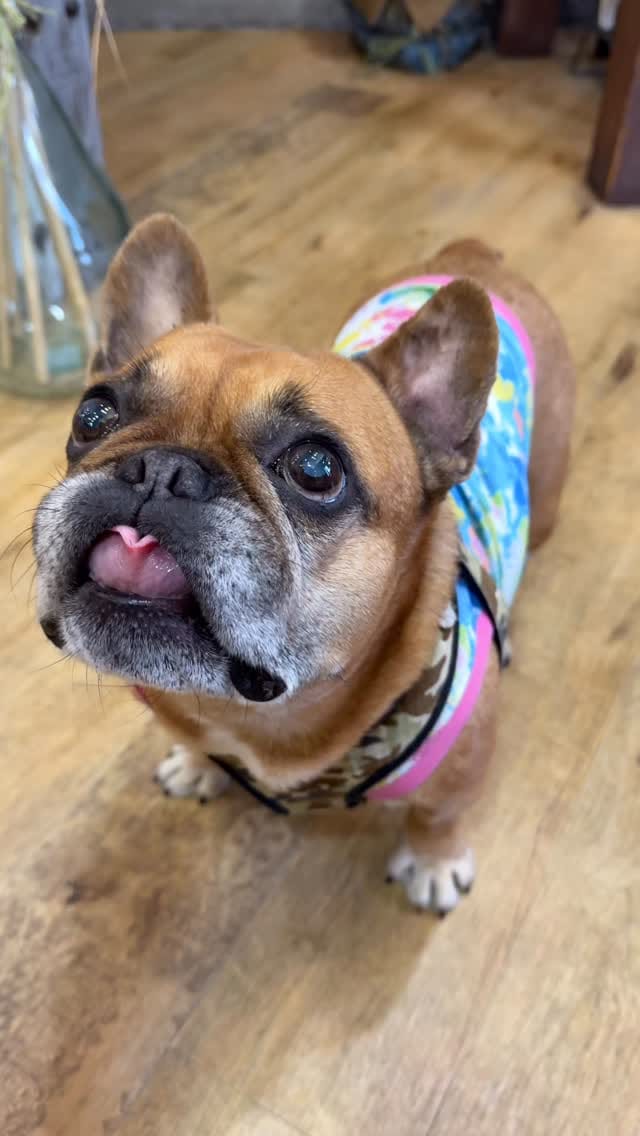 Post 1 by ❤︎maya❤︎ on Instagram (video)