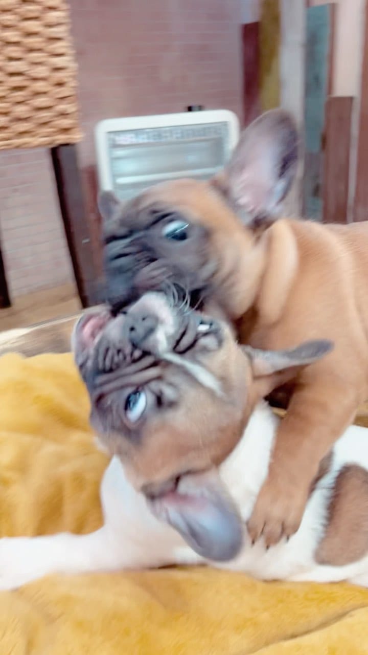 Post 9 by ❤︎maya❤︎ on Instagram (video)