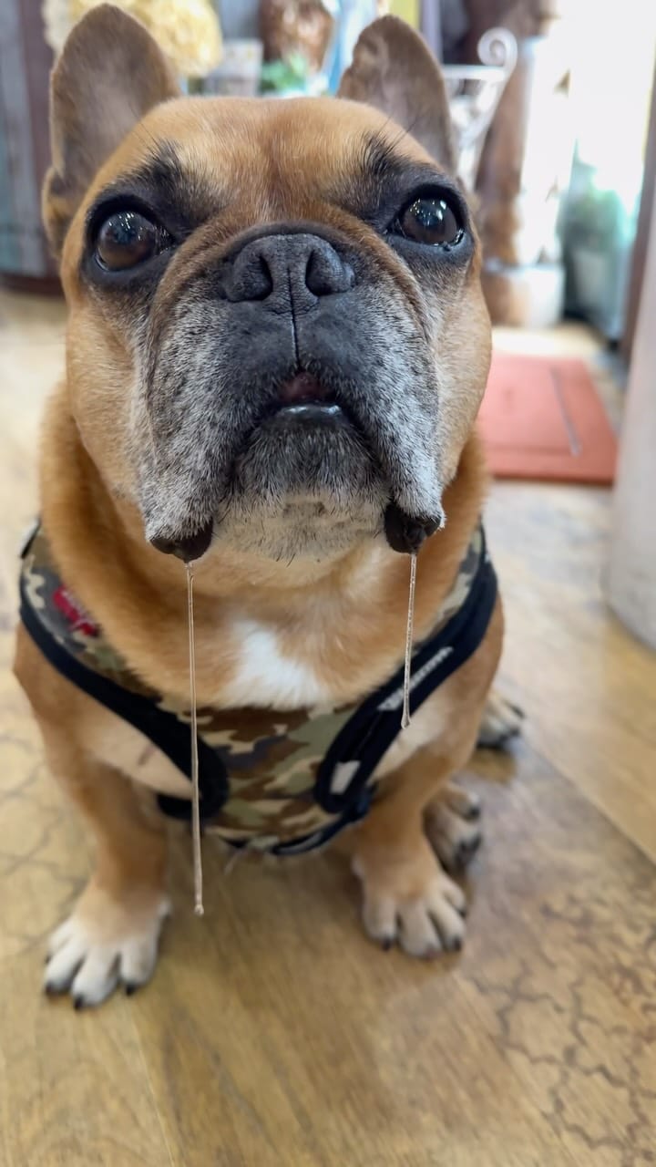 Post 7 by ❤︎maya❤︎ on Instagram (video)