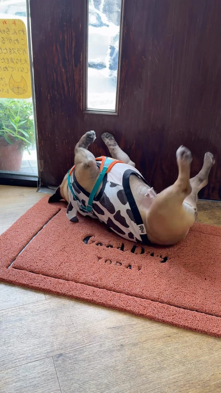 Post 2 by ❤︎maya❤︎ on Instagram (video)