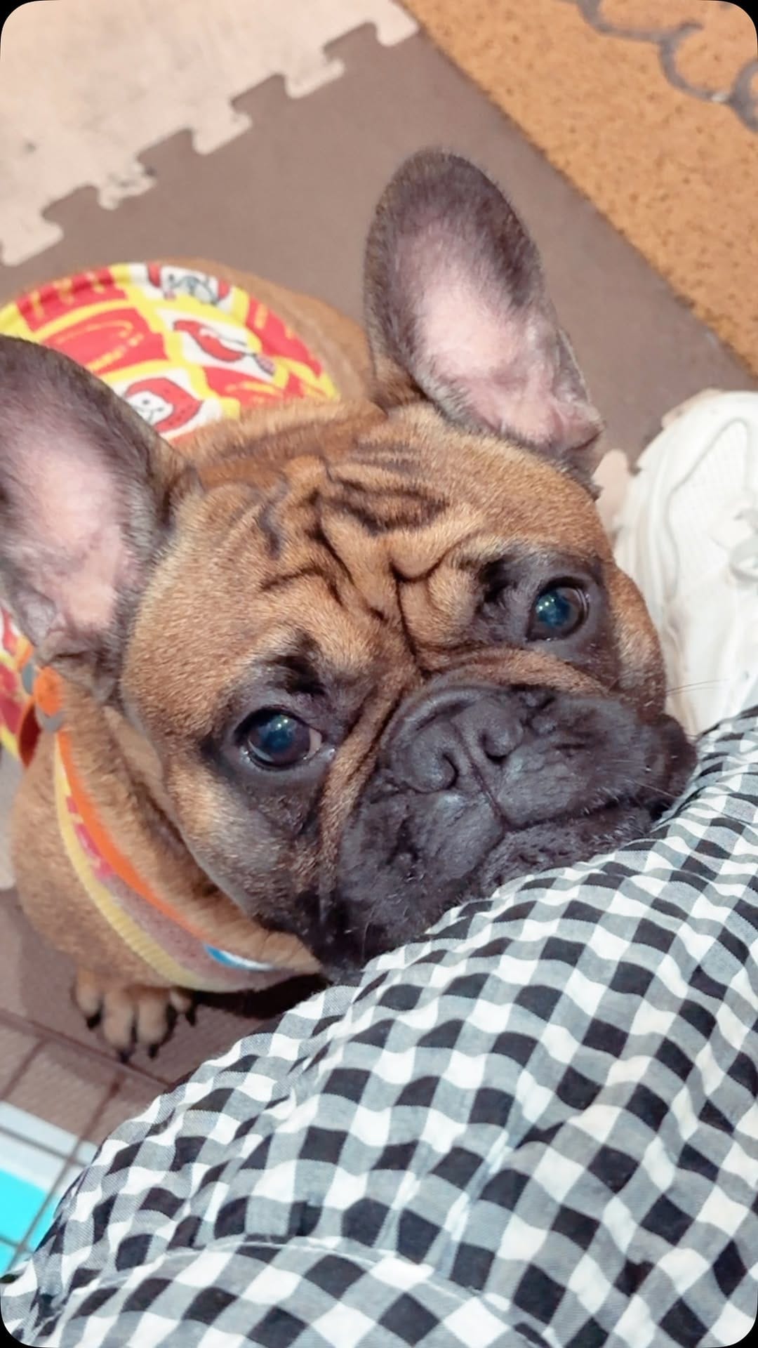 Post 6 by ❤︎maya❤︎ on Instagram (video)