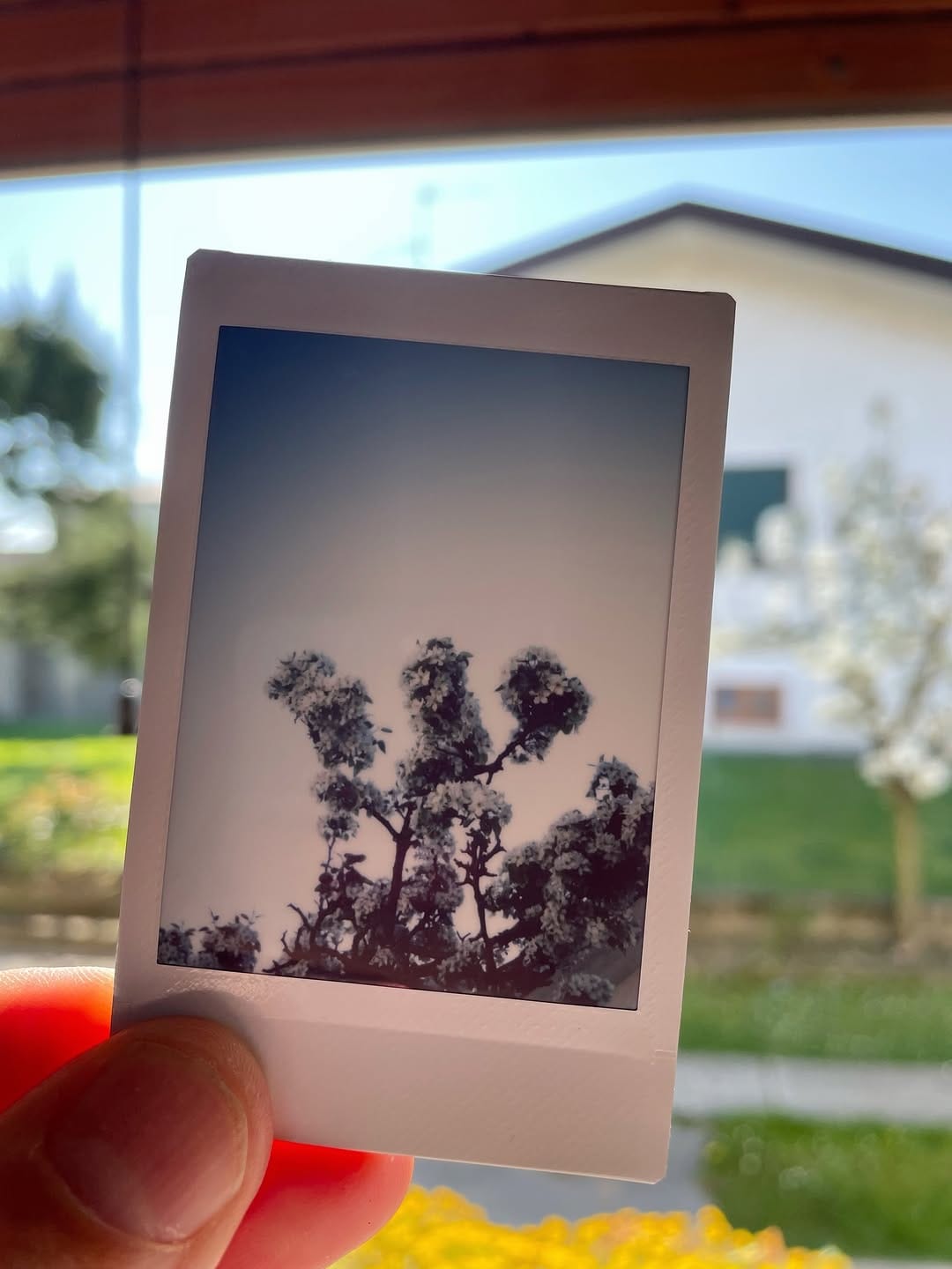 Post 8 by Alessandro Secondin on Instagram (carousel)