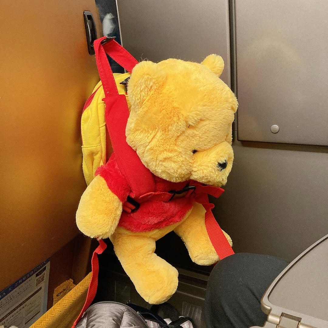 Post 3 by ぷうぷうぷうのしゅけ/ぷうぷうファミリー on Instagram (carousel)