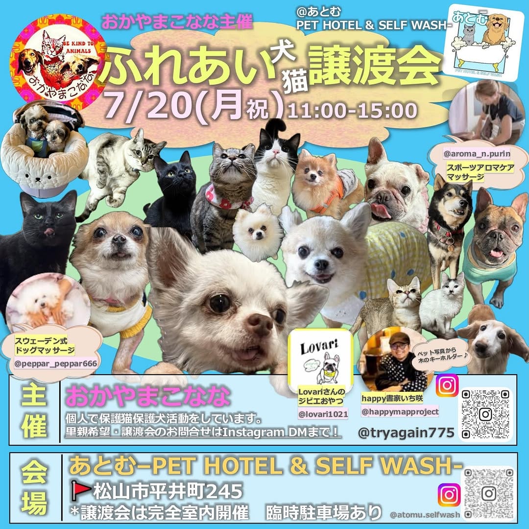 Post 1 by happy書家 いち咲🇯🇵 on Instagram (carousel)