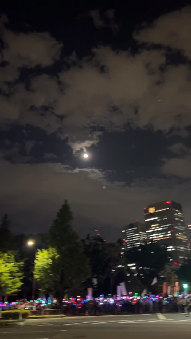 Post 5 by Erika Kobayashi 小林エリカ on Instagram (video)