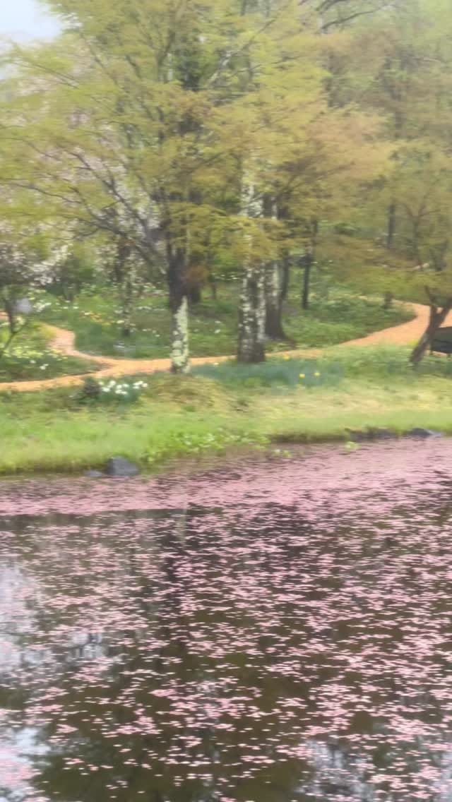 Post 7 by Erika Kobayashi 小林エリカ on Instagram (video)