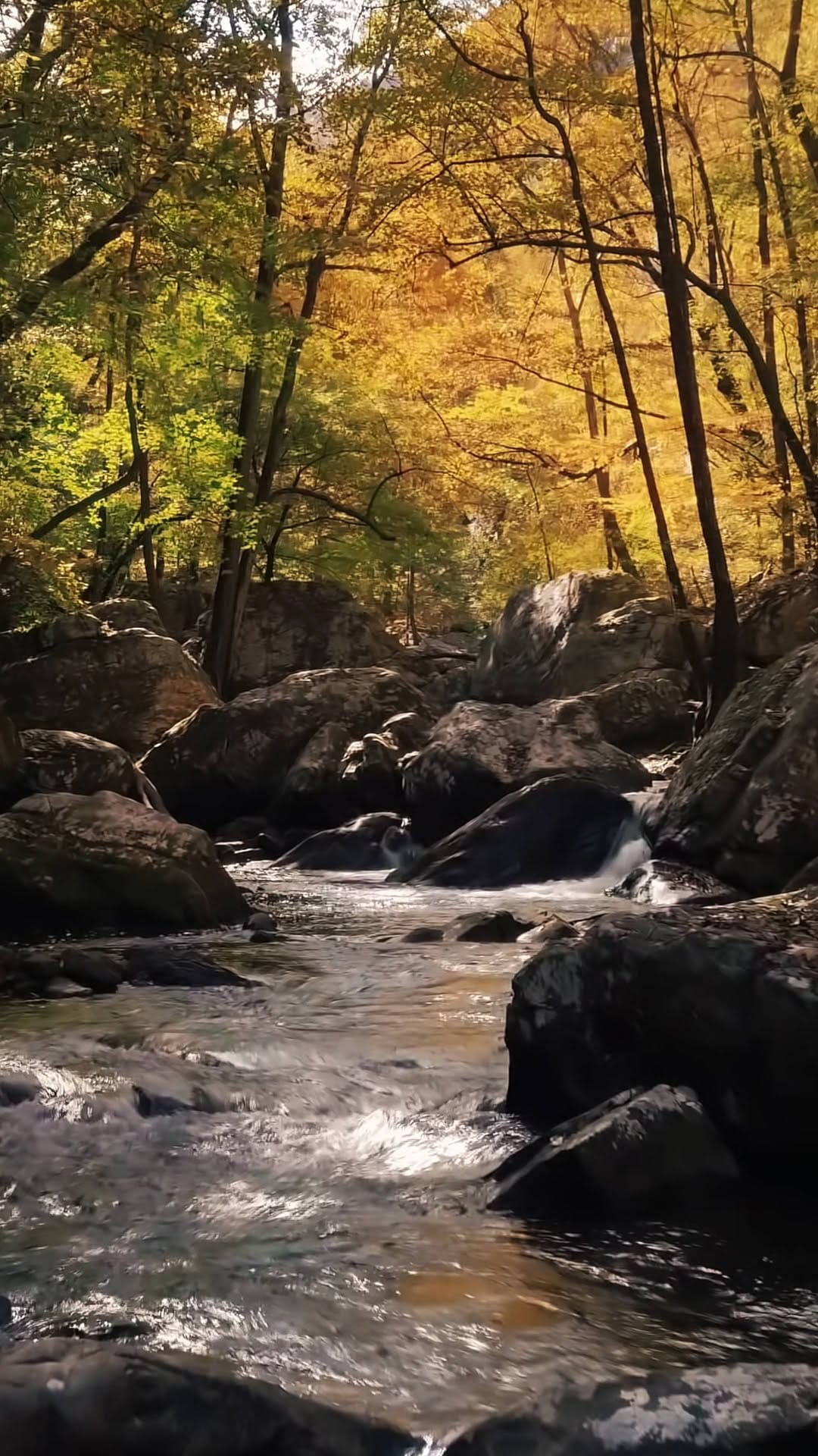 Post 6 by last impression photography on Instagram (video)