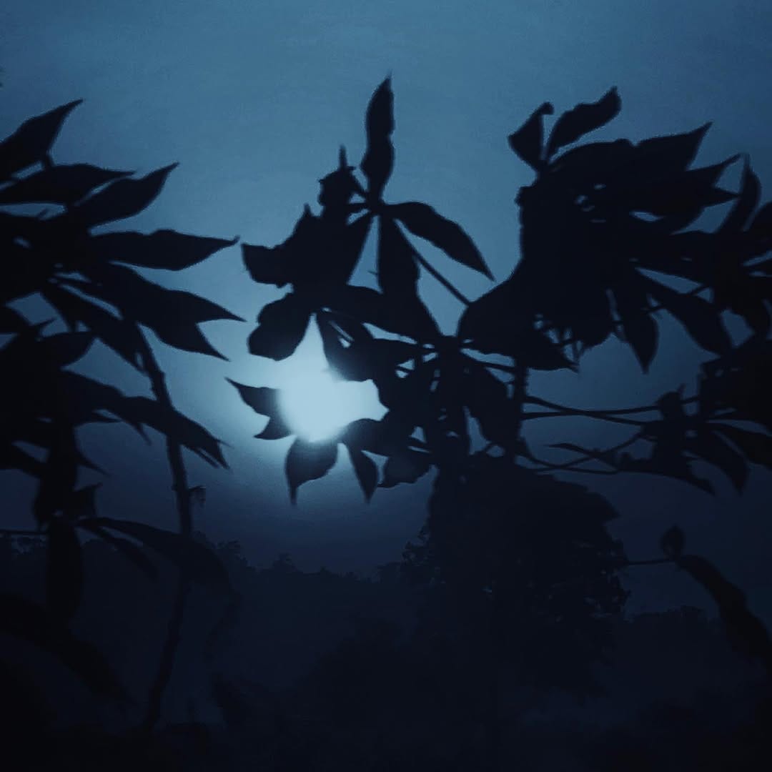 Post 9 by P H O T O G R A F A Y E on Instagram (image)