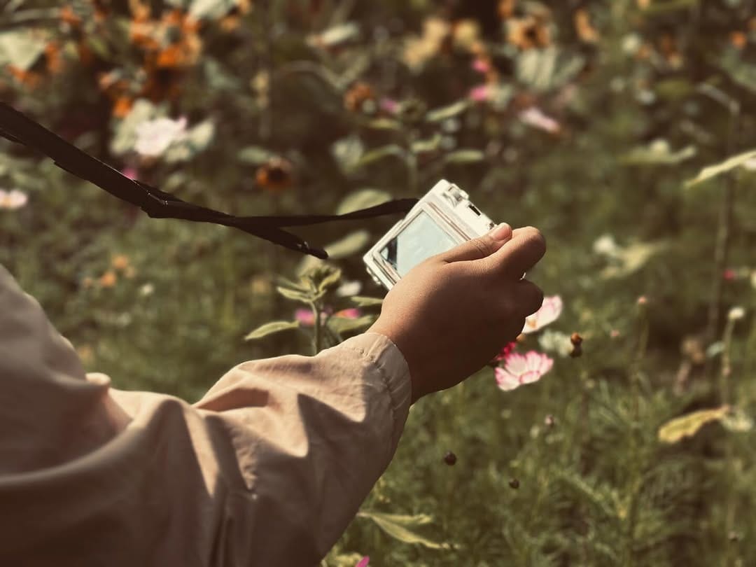 Post 4 by P H O T O G R A F A Y E on Instagram (image)