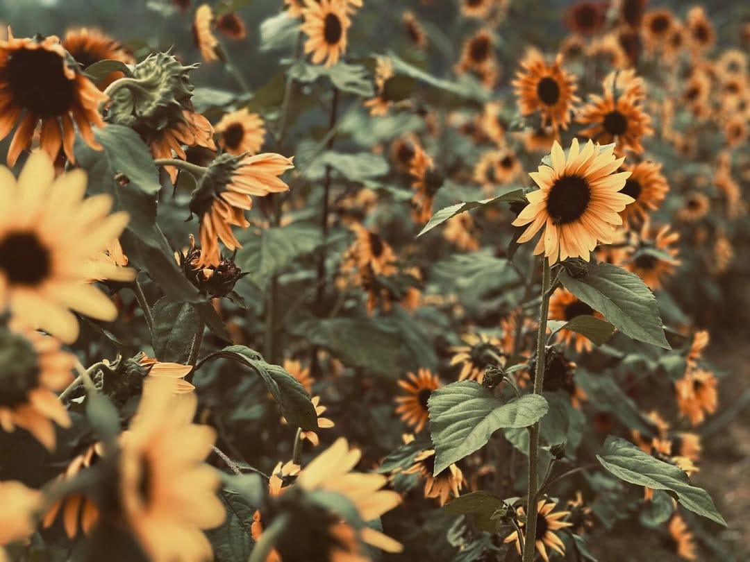 Post 6 by P H O T O G R A F A Y E on Instagram (image)