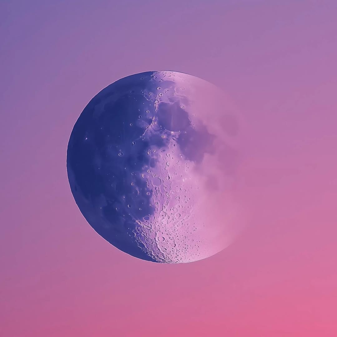 Post 5 by 𝐑𝐨𝐛𝐢𝐧 𝐁𝐨𝐫𝐧𝐞𝐦𝐚𝐧 on Instagram (video)