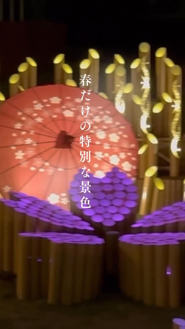 Post 3 by CHIKAKEN ┆ちかけん 竹あかり®【公式】 on Instagram (video)